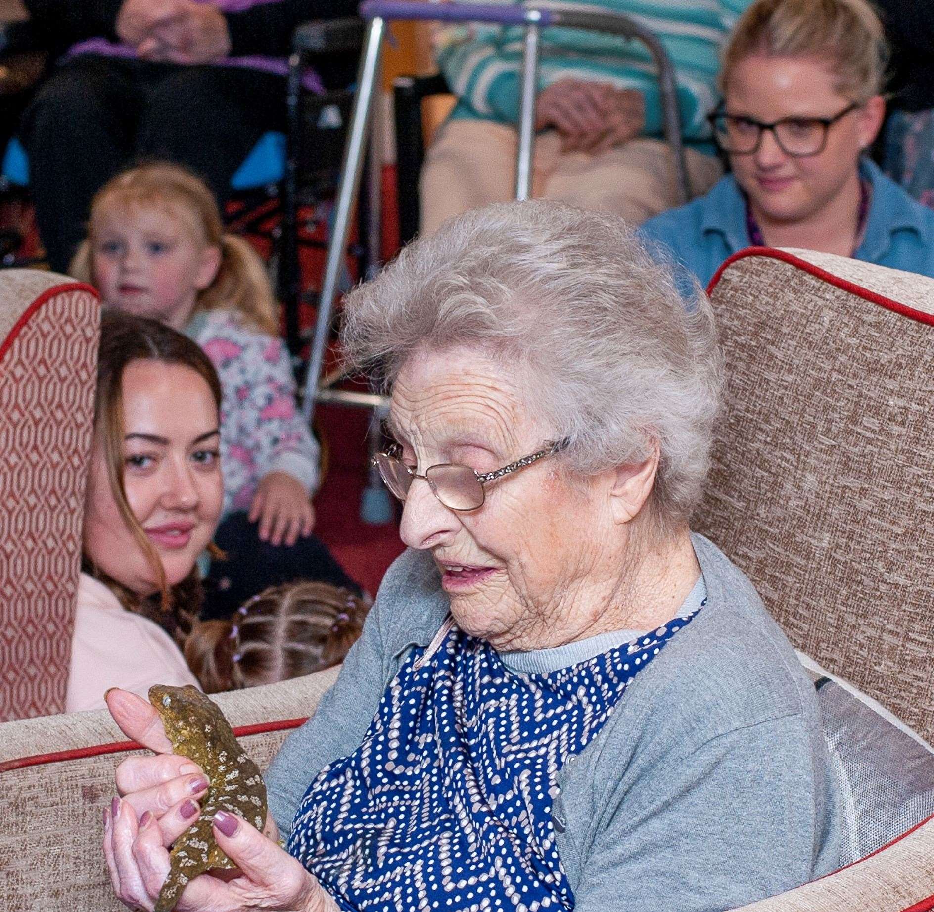 Lizards were among the animal visitors.