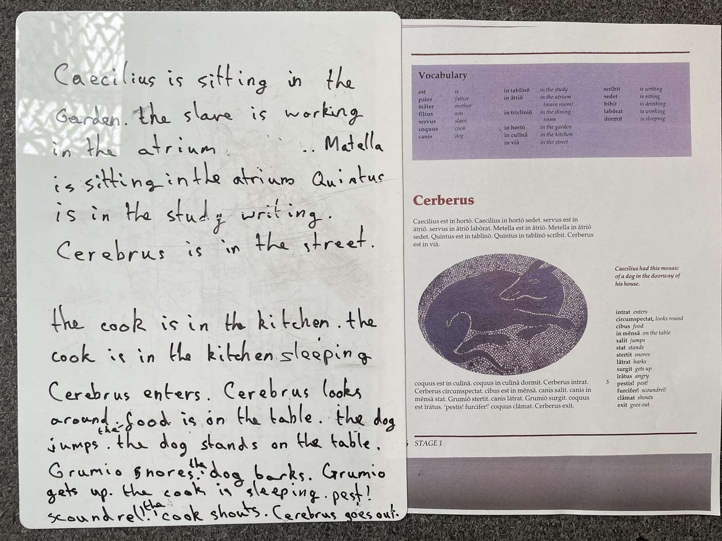 Pupils at Peckover Primary have been learning Latin and classical civilisation. (51570130)
