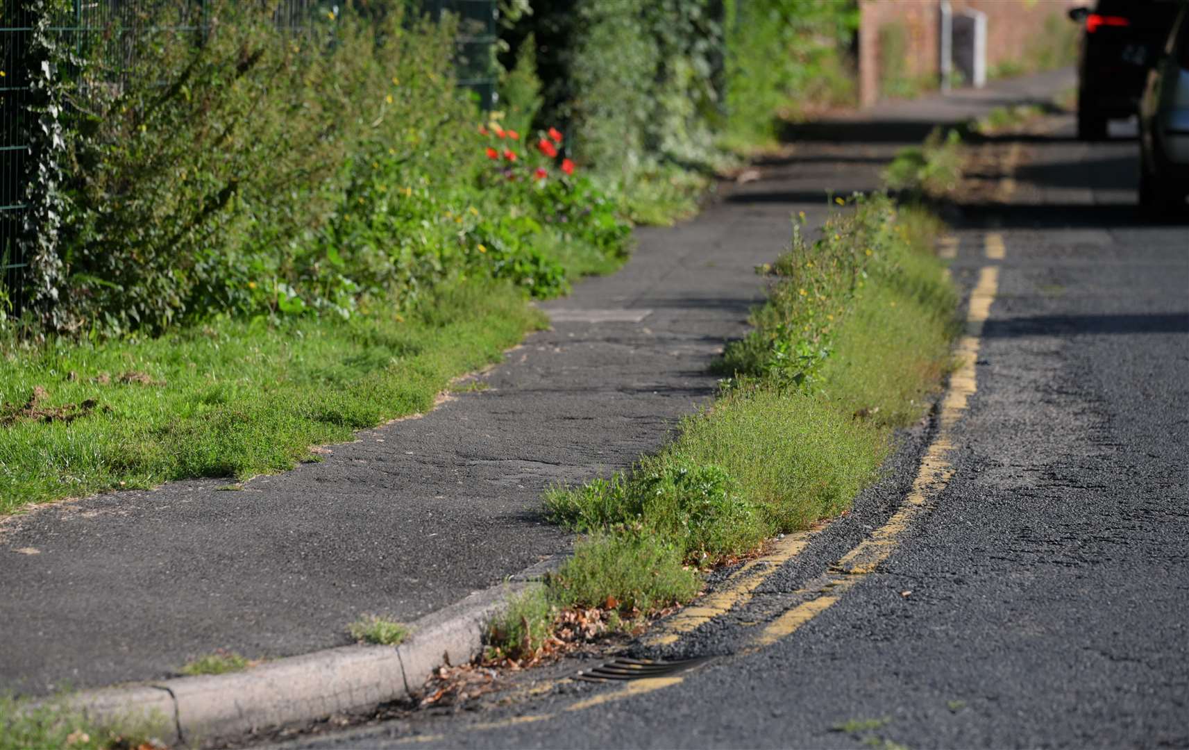 Paths and side of the roads that have got lots of weeds on them Coalwharf Rd Wisbech