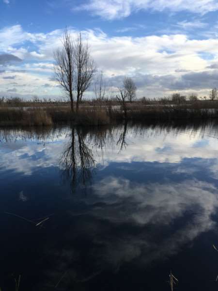 Manea pit is to get an otter proof fence to protect its fishing stock - but the plan has split the village.