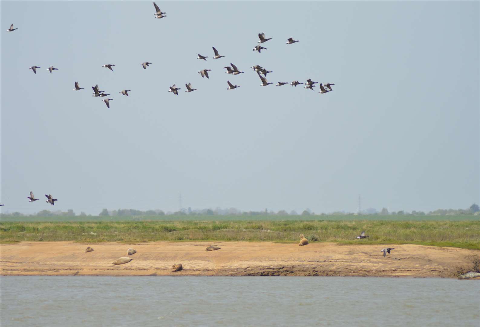 The path offers the chance to spot sea birds, waders and fantastic views