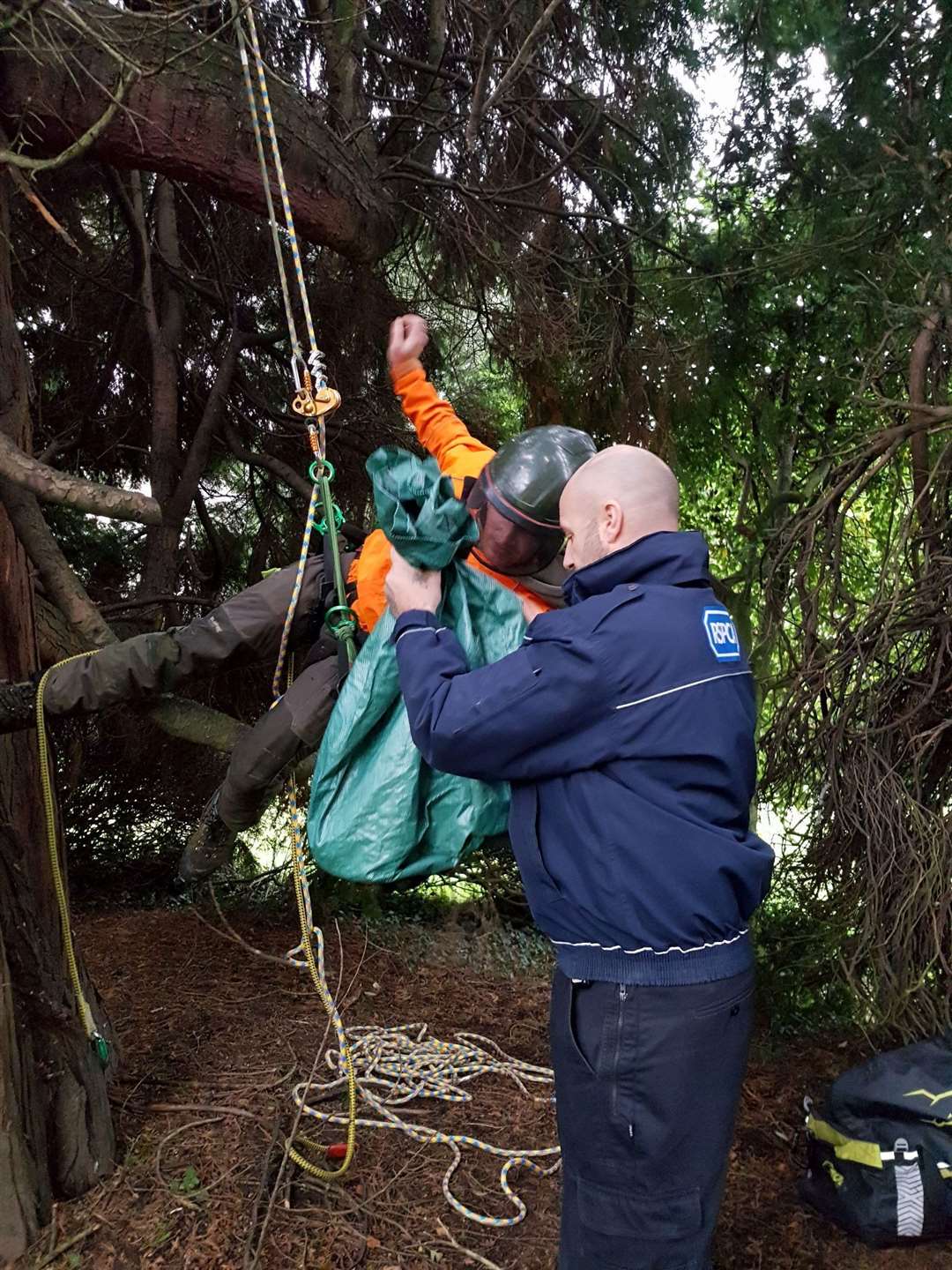 Tree surgeon Seth Masters scaled up the 60ft tree in high winds to rescue Princess.