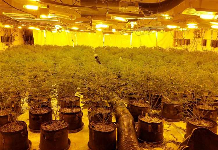 Two men remanded in prison after police bust cannabis factory