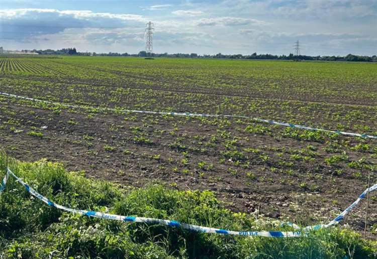 Investigation launched following discovery of human bones