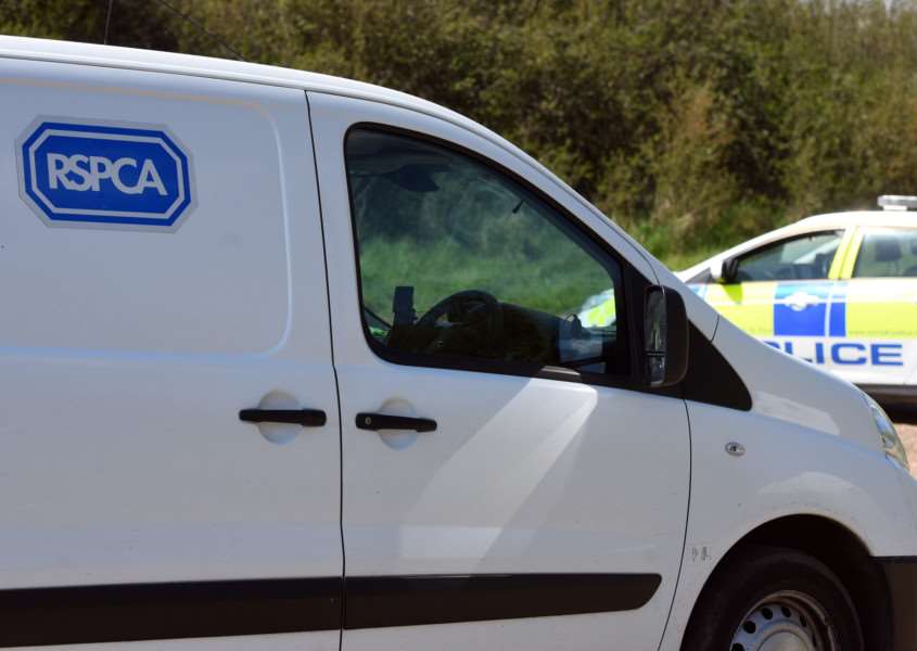 RSPCA, Redwings Horse Sanctuary and Police at Bennett Road Downham Market ANL-160405-155229009