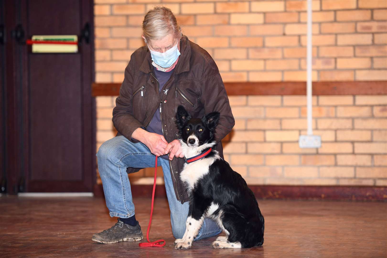 March dog training class. (54113592)