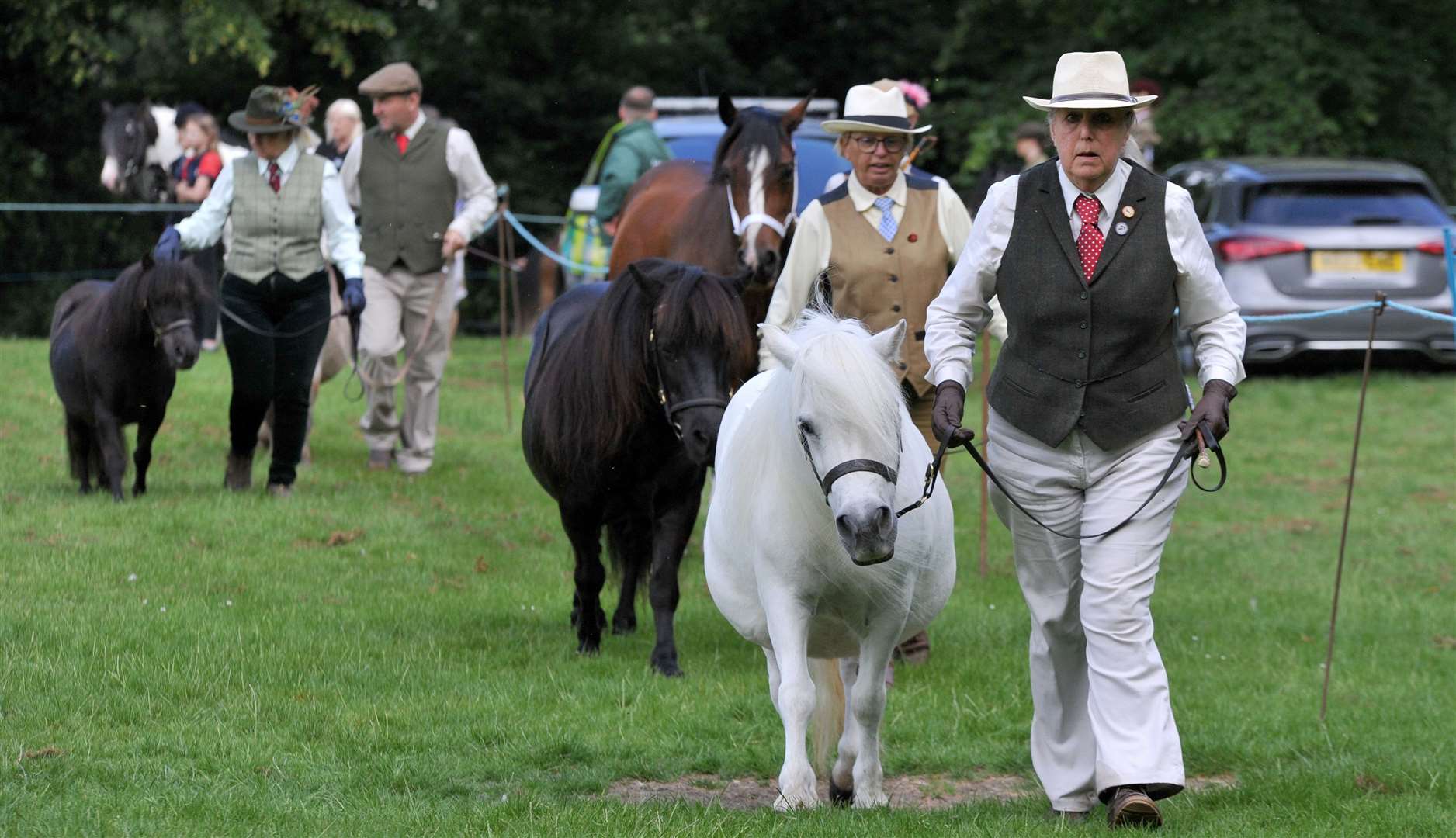 Ponies at the show. PHOTO: CHRIS LOWNDES