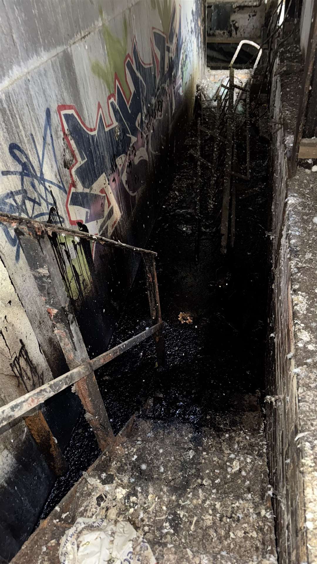 The fox was found trapped in thick heating oil which had leaked under a derelict building in Leicester (RSPCA/PA)