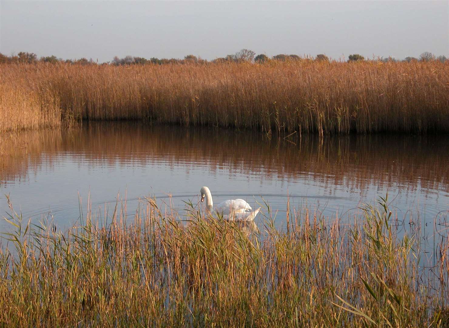 Hot, dry and growing: New research reveals Cambridgeshire's greatest challenge over the next 30 years.