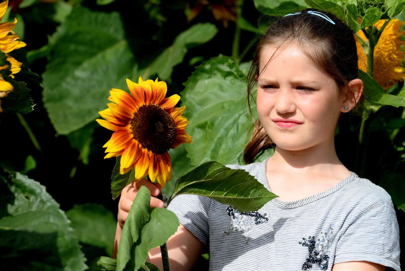 Nancy enjoys the sunflower walk.