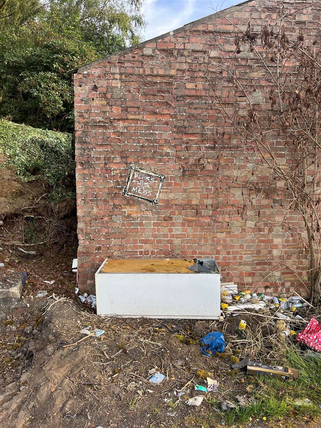 Citizen reader Jackson Kett wonders if this artwork painted on a wall down Moyse's Bank in Wisbech is by Bansky, or whether Fenland has its own version of the artist. Picture: Jackson Kett