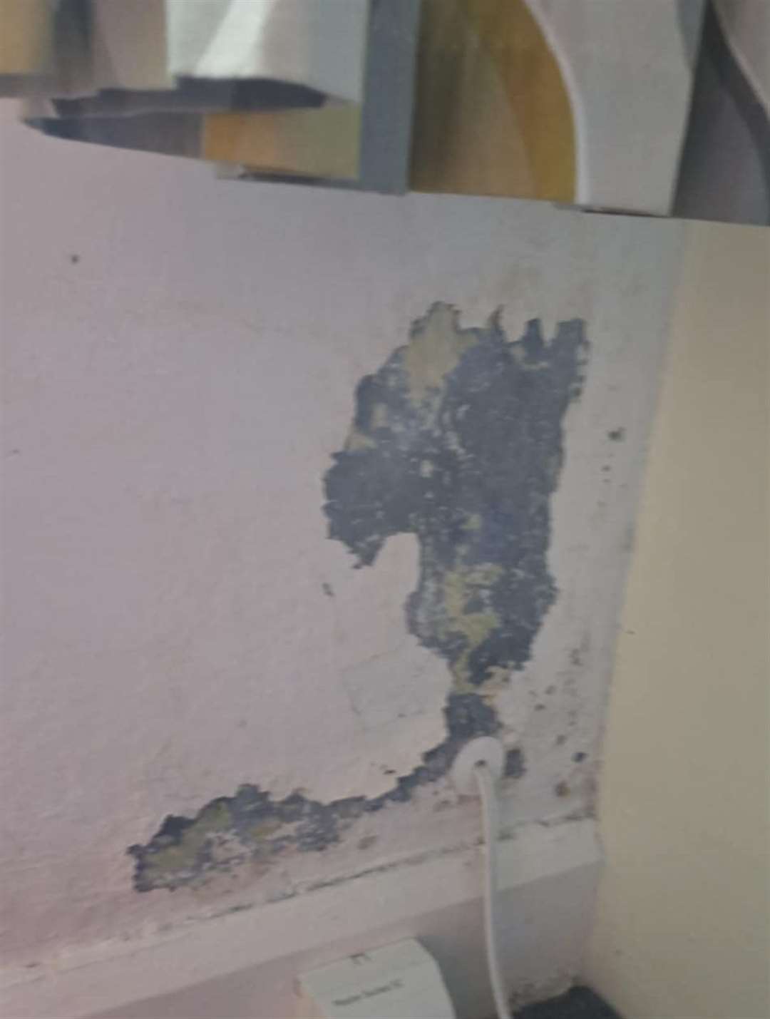 Some of the damage to the walls. Pictures: Luke Emmerson