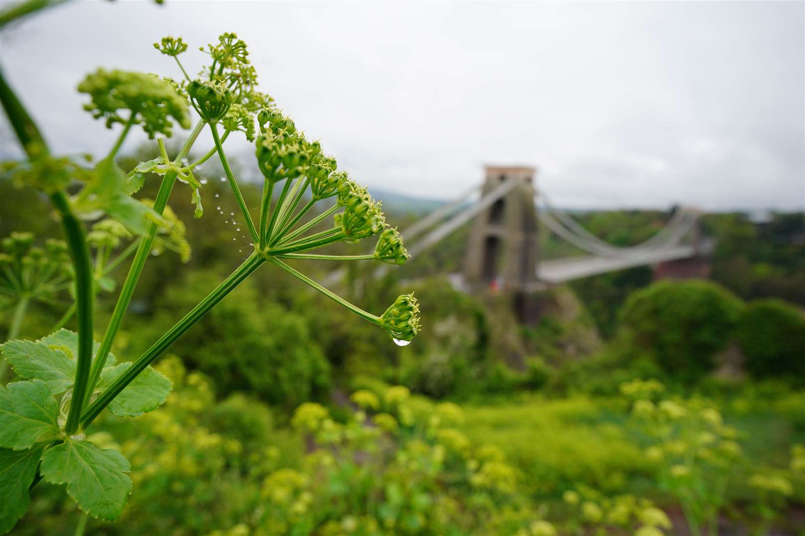 Mosquera was spotted at Clifton Suspension Bridge (Ben Birchall/PA)