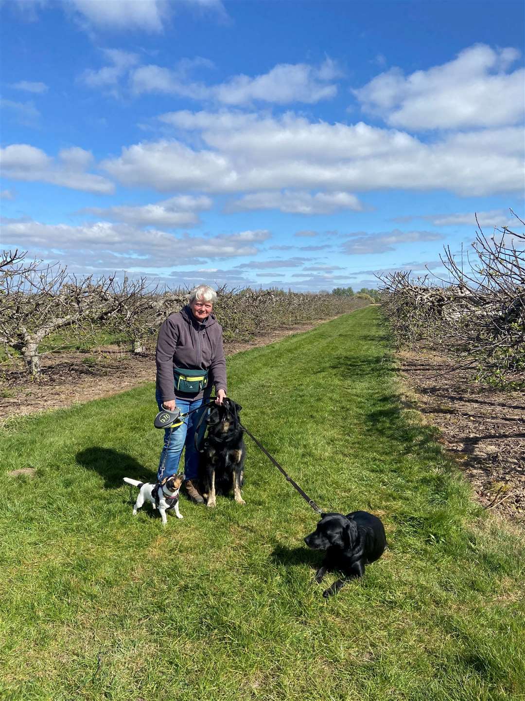 Vanessa Norris with her dogs Bronson, Pumpkin and Cleo