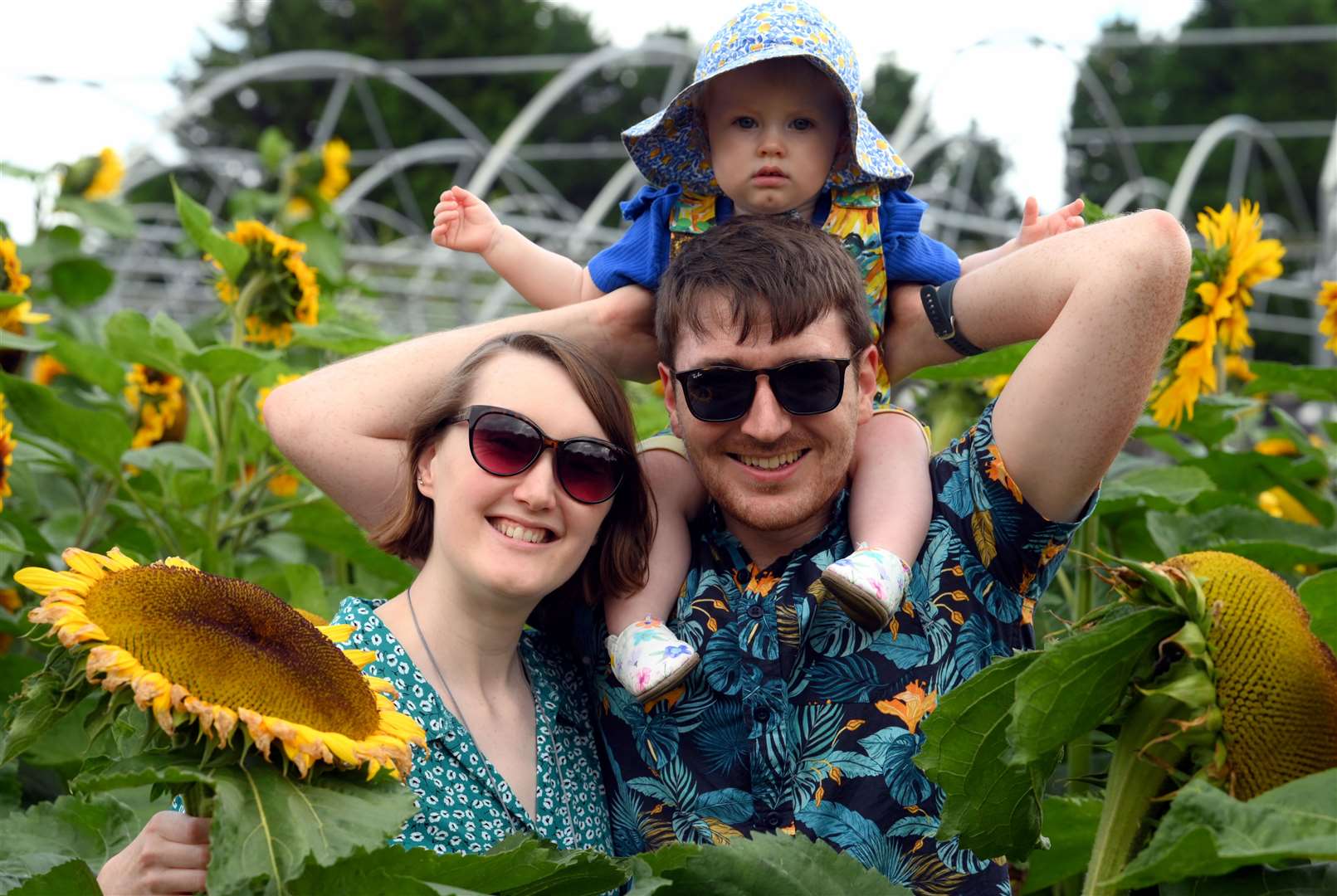 Amy, Olivia and Anthony White among the hundreds of sunflowers.