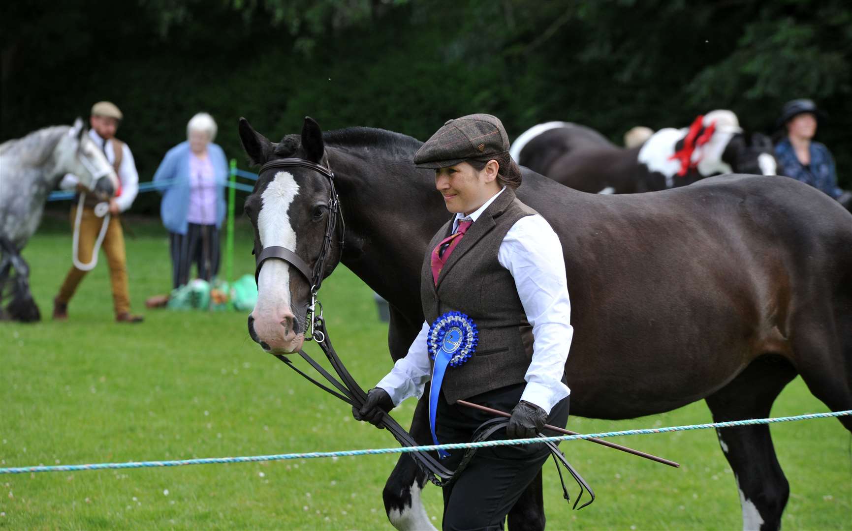 Showing classes were part of the Long Sutton Horse and Pony Show