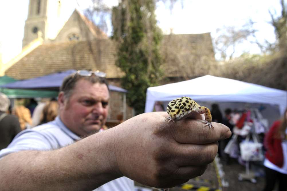 Fossils Galore Kevin Dennis with a leopard gecko ANL-151204-175303009