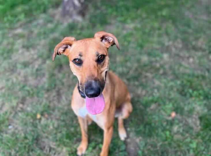 Sarah has been at the home since November 2021 and is desperate for a loving home.