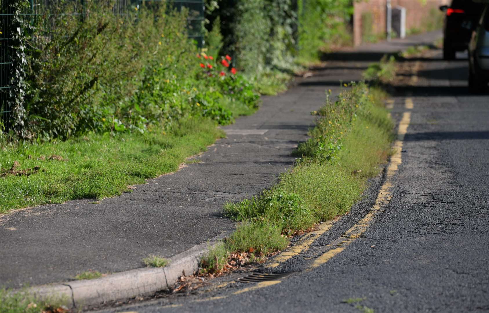 Coalwharf Road in Wisbech has weeds growing along the kerb while they also encroach onto the path.