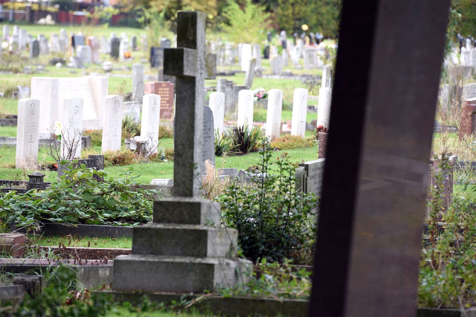 General View of Mount Pleasant Cemetery. (18419657)