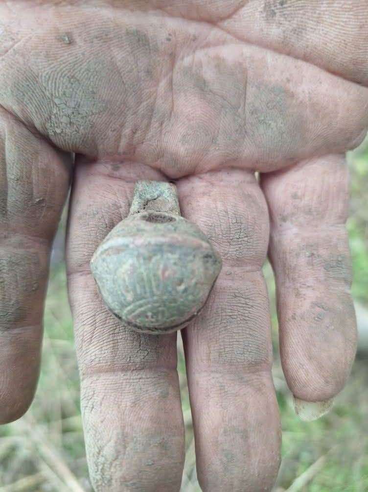 crotal bells were found during the day