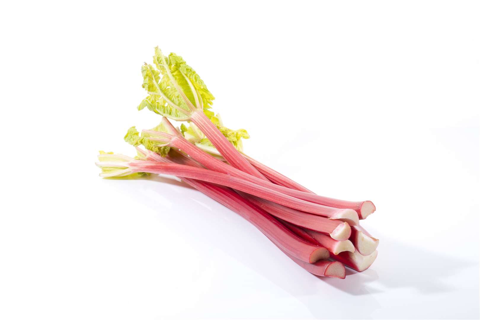 Rhubarb leaves should be kept away from dogs if they're tempted to nibble. Photo: Stock image.
