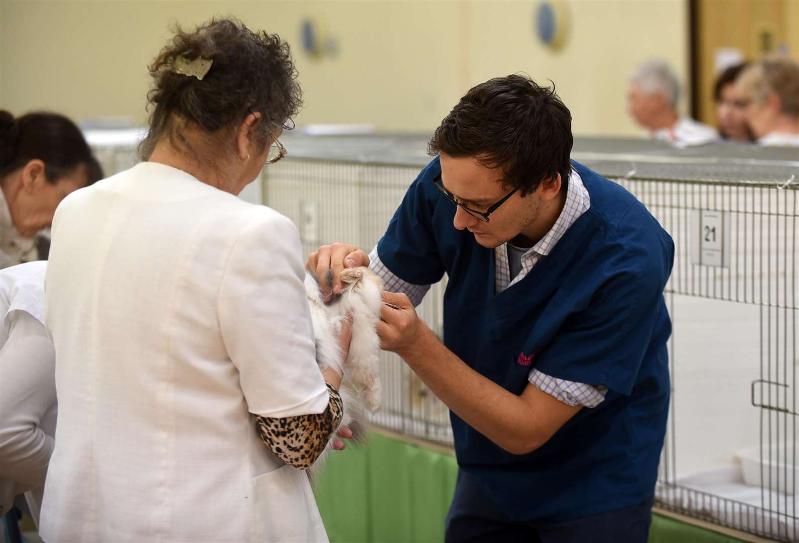 Cat Show at Tydd St Giles village hall....James Alexander vet. (6336601)