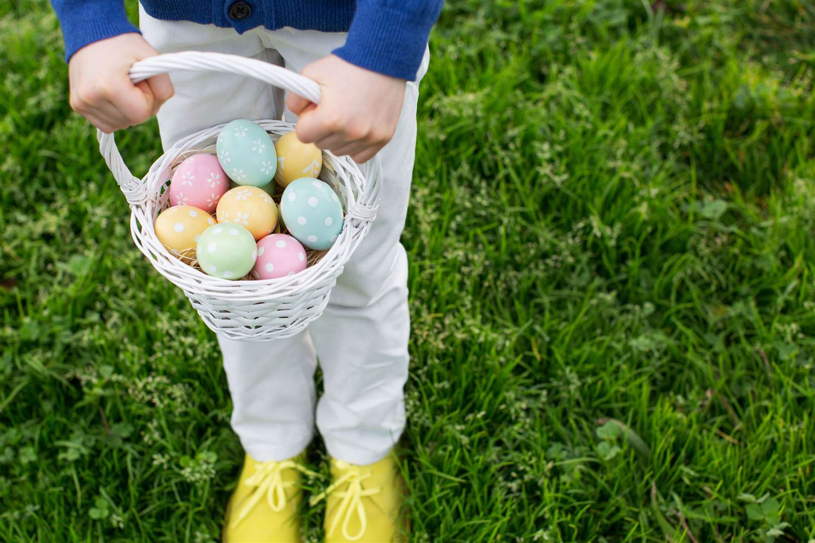 close-up view of eggs in easter basket being held by little boy after easter egg hunt. (33052839)
