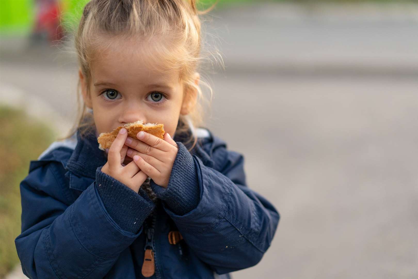 Bread is best when eaten within the first two or three days and so households should freeze the rest. Image: Stock photo.