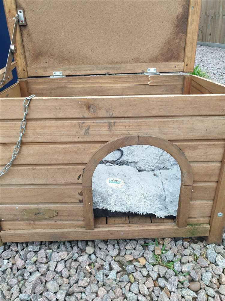 The dead dog was found in a dumped kennel in Wisbech (29218247)