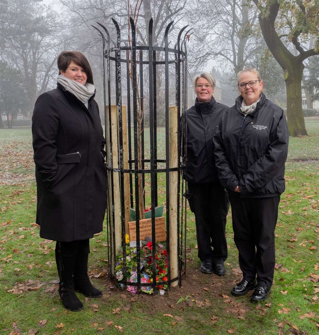The tree has a protective cage around it. Photo: Roger Rawson.