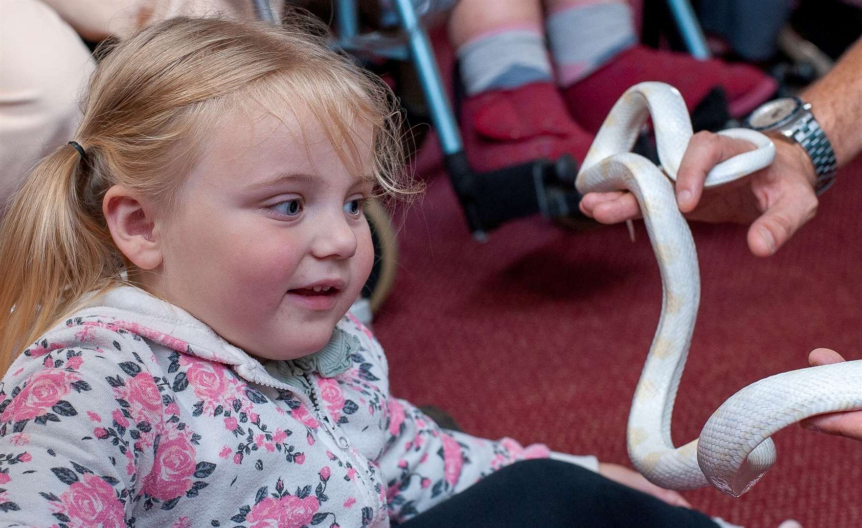 Zoolab allowed residents to handle animals including snakes.