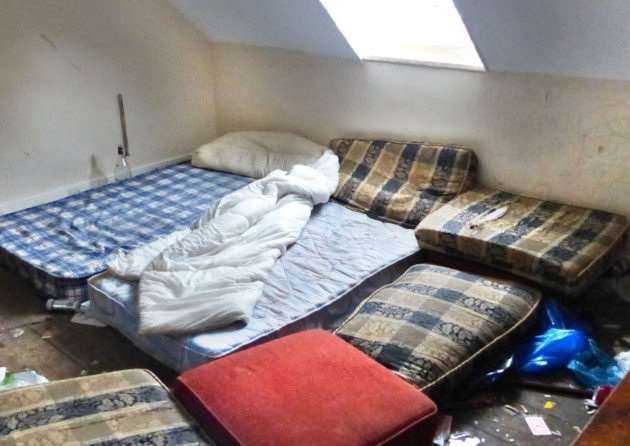 Fenland's action plan will tackle conditions like this unearthed during Operation Pheasant.