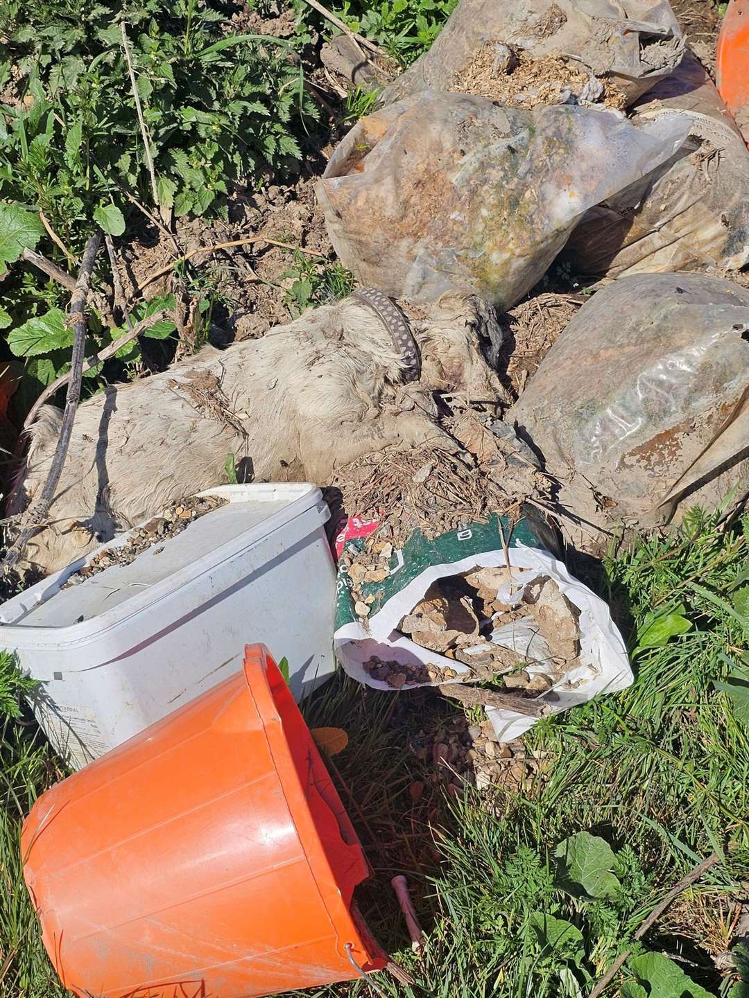 The dog was found among waste that was fly-tipped.