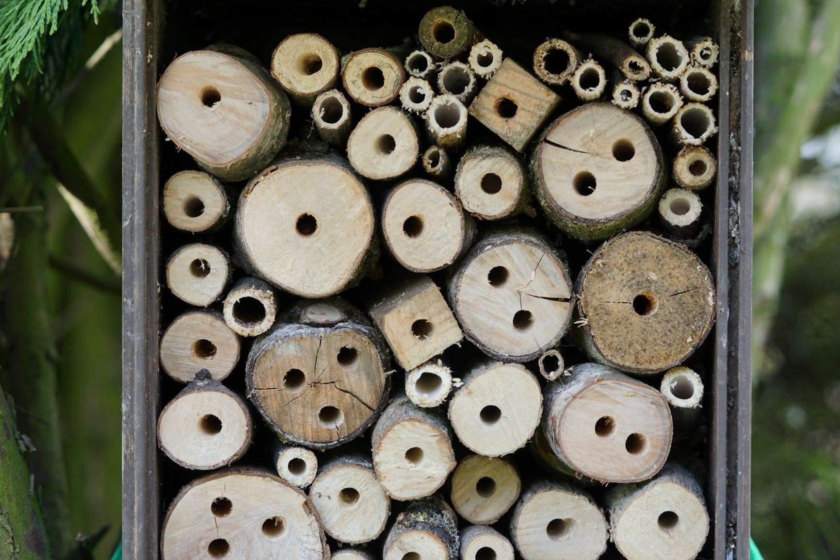 Building an insect hotel like this one is an activity families can enjoy, and will attract wildlife to your gardens. (33933527)