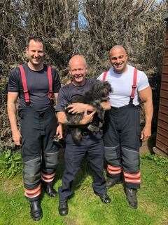 This dog had to be rescued from a rabbit hole in Emneth in June last year. (30769759)