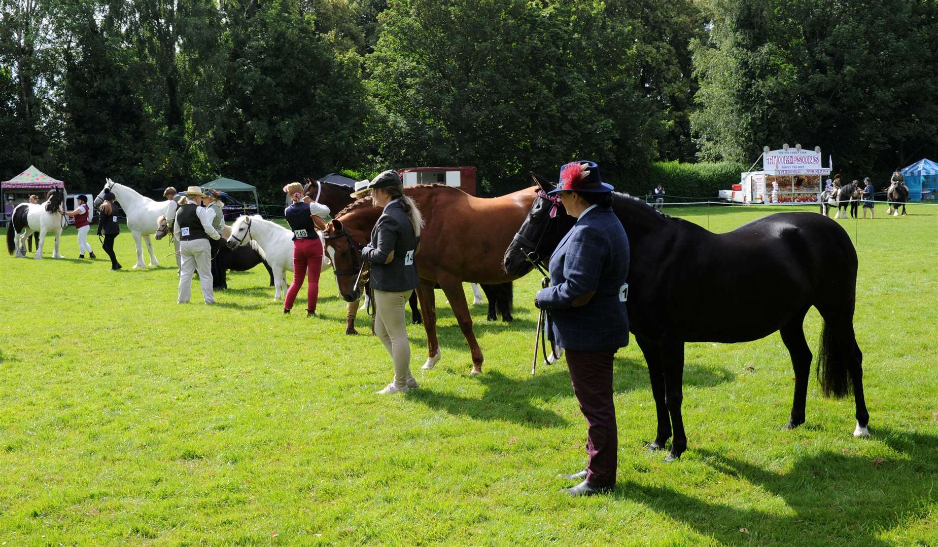 Long Sutton Horse and Pony show at Cinder Ash Park. PHOTOS: CHRIS LOWNDES