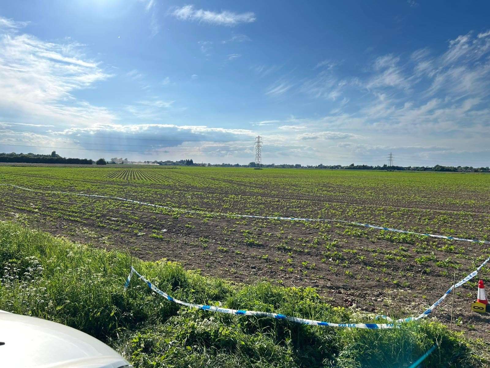Human bones were discovered in Walton Highway