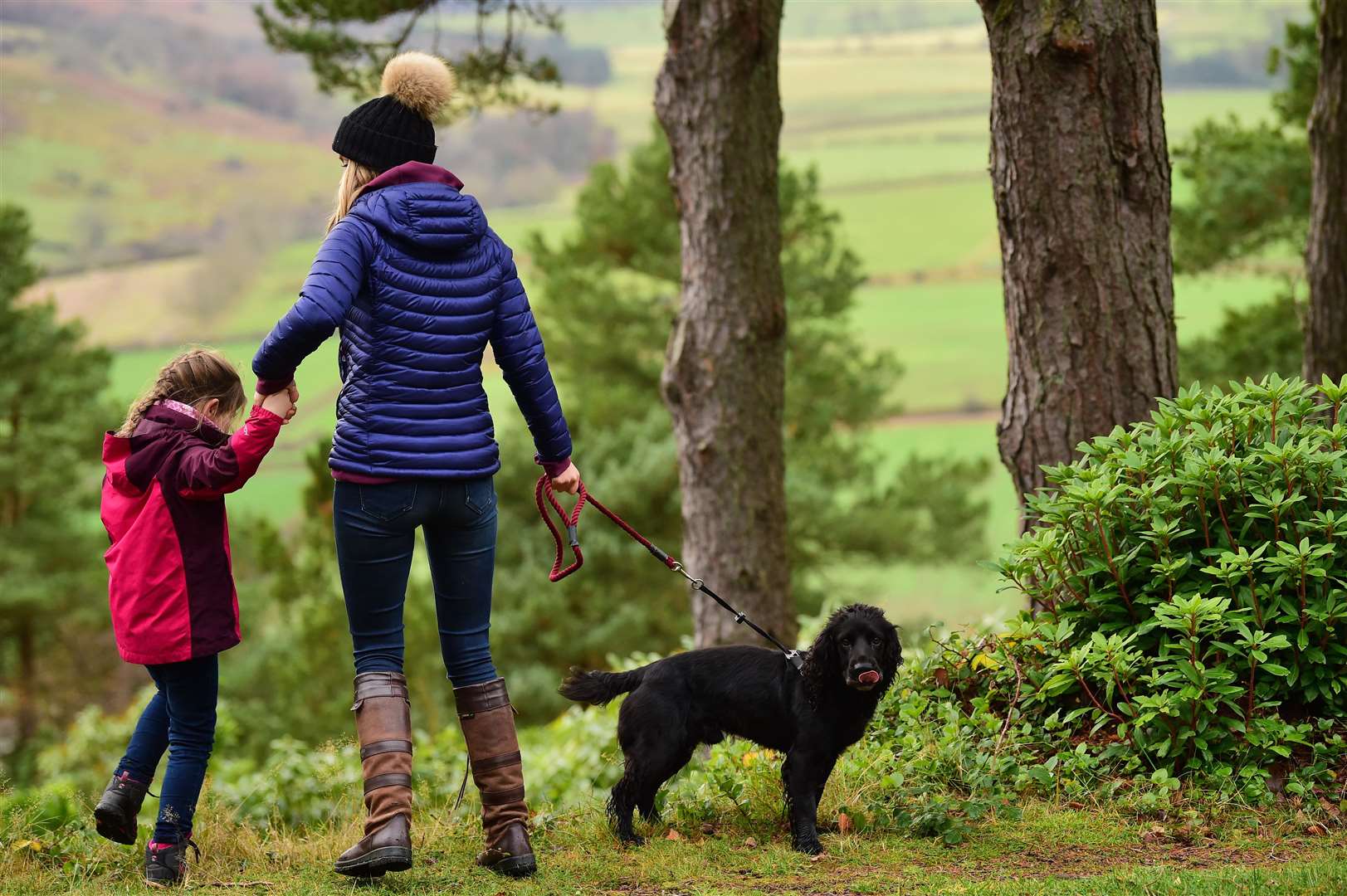 How to care for your pets staying at home and social distancing.