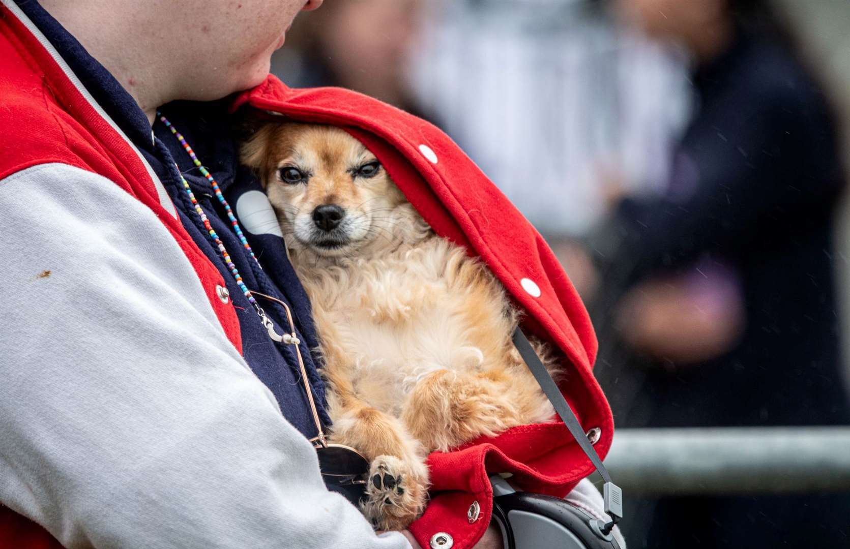 Despite a heavy downpour of rain, supporters and their dogs turned out in their droves for the annual RSPCA One Fun Day at Block Fen Animal Centre.