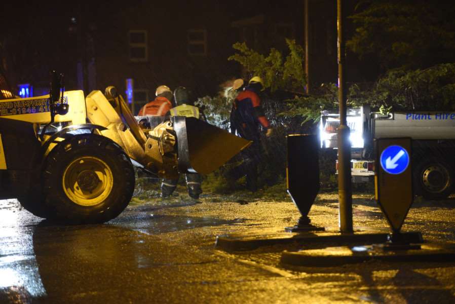 Storm damage in Wisbech'Tree down at Norwich Road