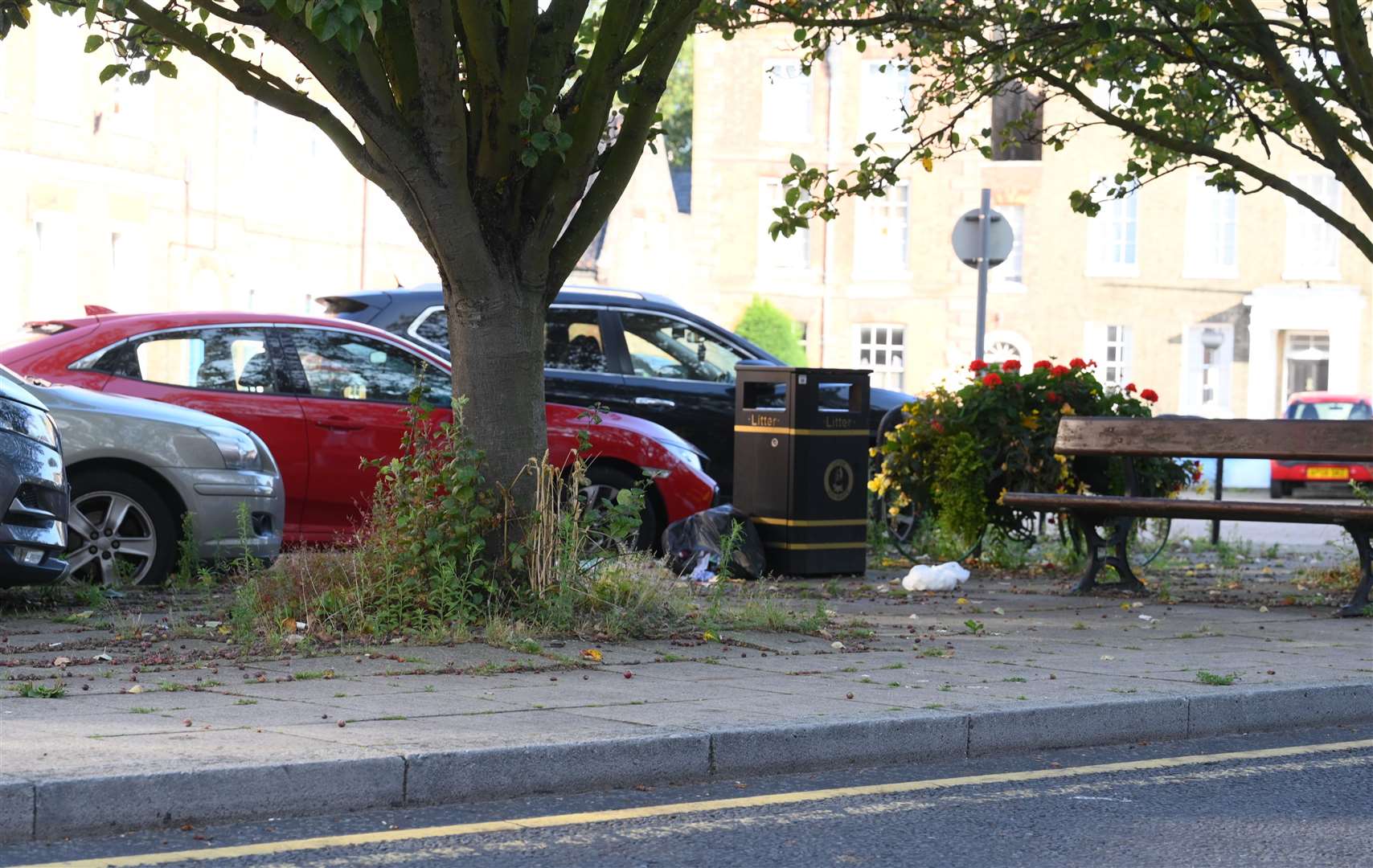 Paths and side of the roads that have got lots of weeds on them.Somers Rd Wisbech