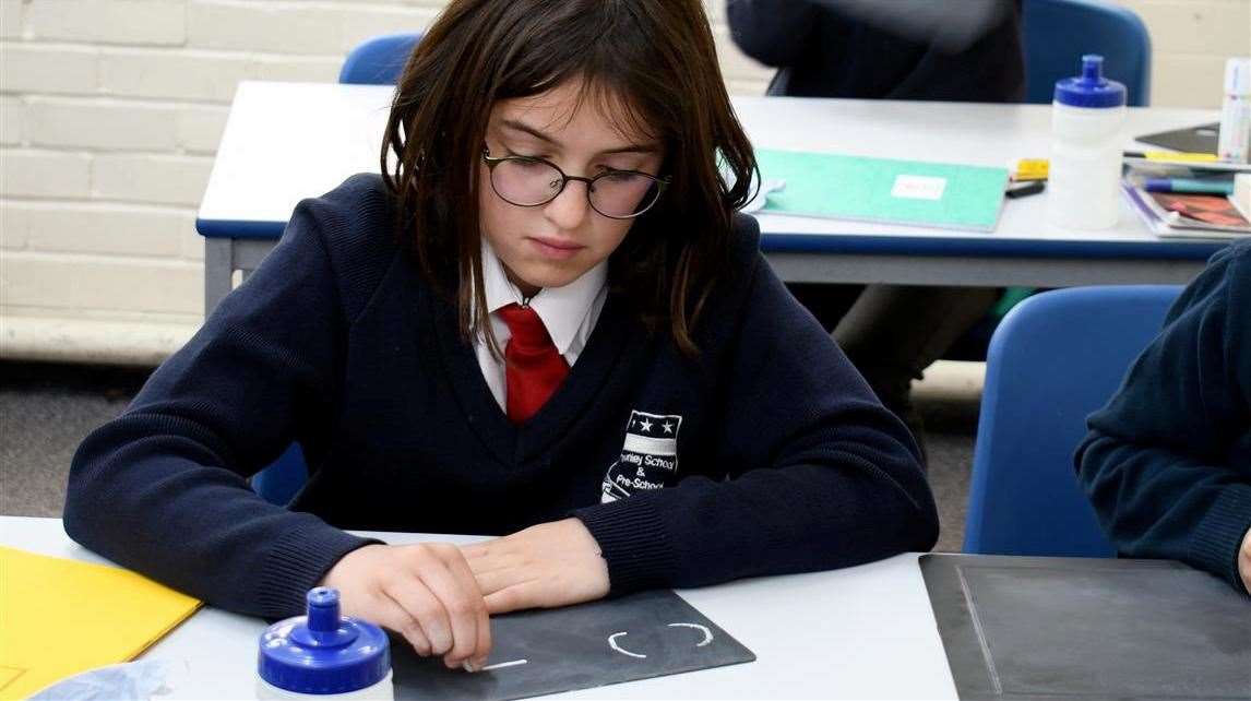 Charlotte Gardiner wrote to companies asking for resources as a parting gift for her primary school.