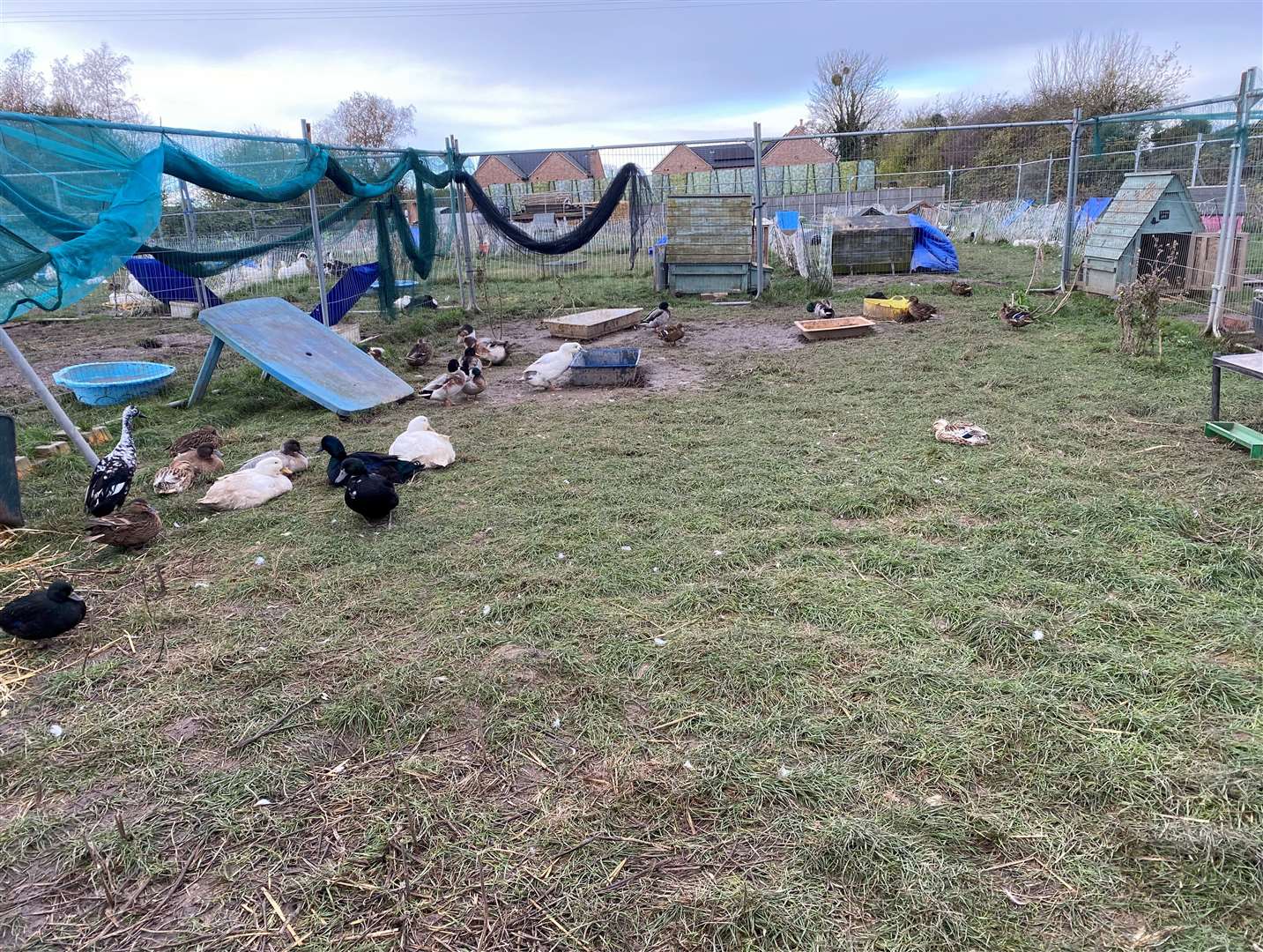 The rescue is fully self funded by Tim and Sally