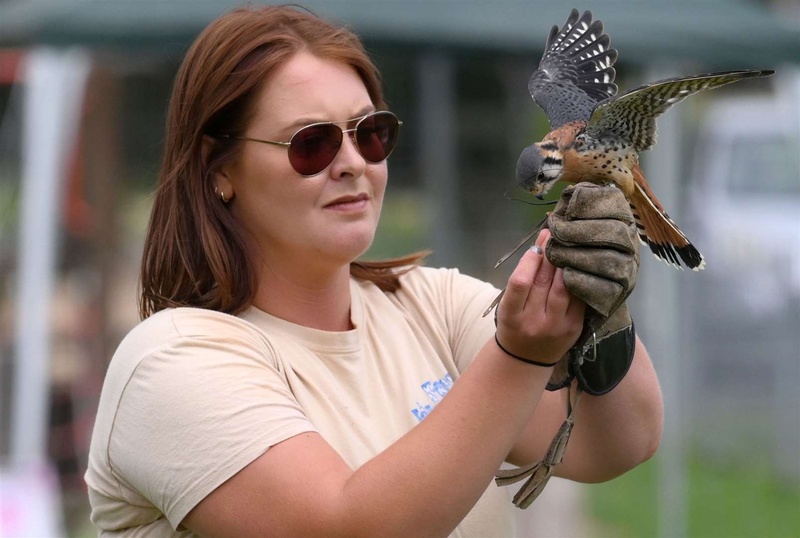Upwell summer fete, Belle from Fens Falconary