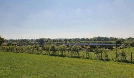Use of hedging to screen a solar farm; trees will be used in the case of this site.