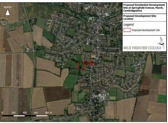 Clarion Housing want to build 40 homes off Springfield Avenue in March. (13984533)