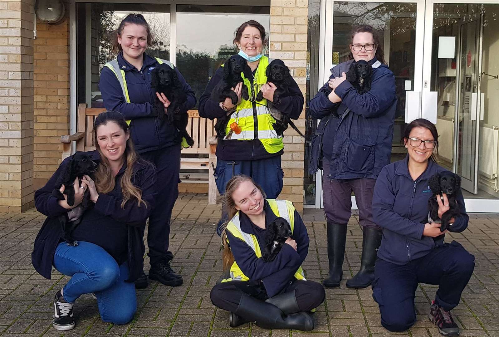 All the puppies with staff at Block Fen in Wimblington where they were cared for before being adopted. (53887269)