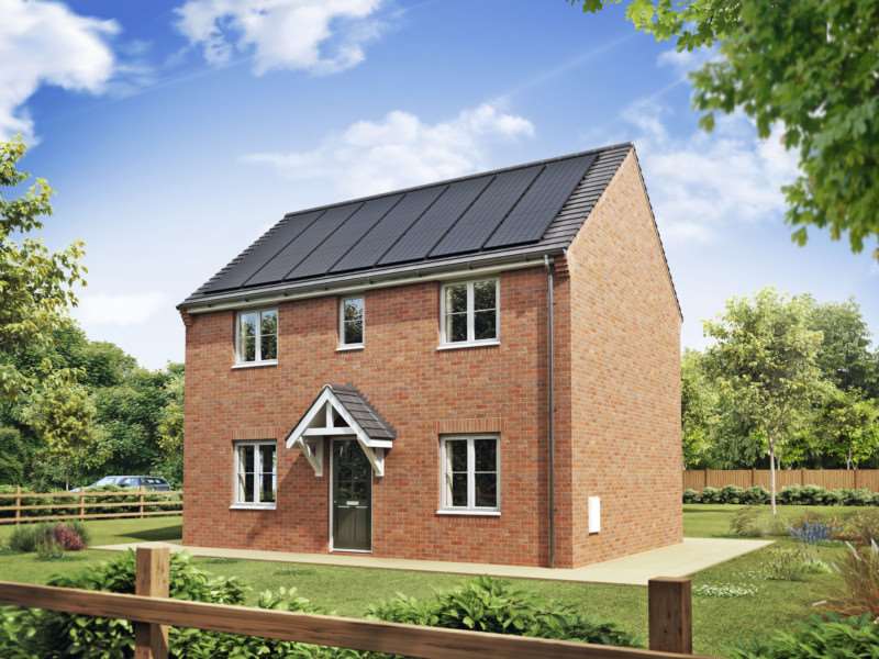 An artist's impression of the elevated house