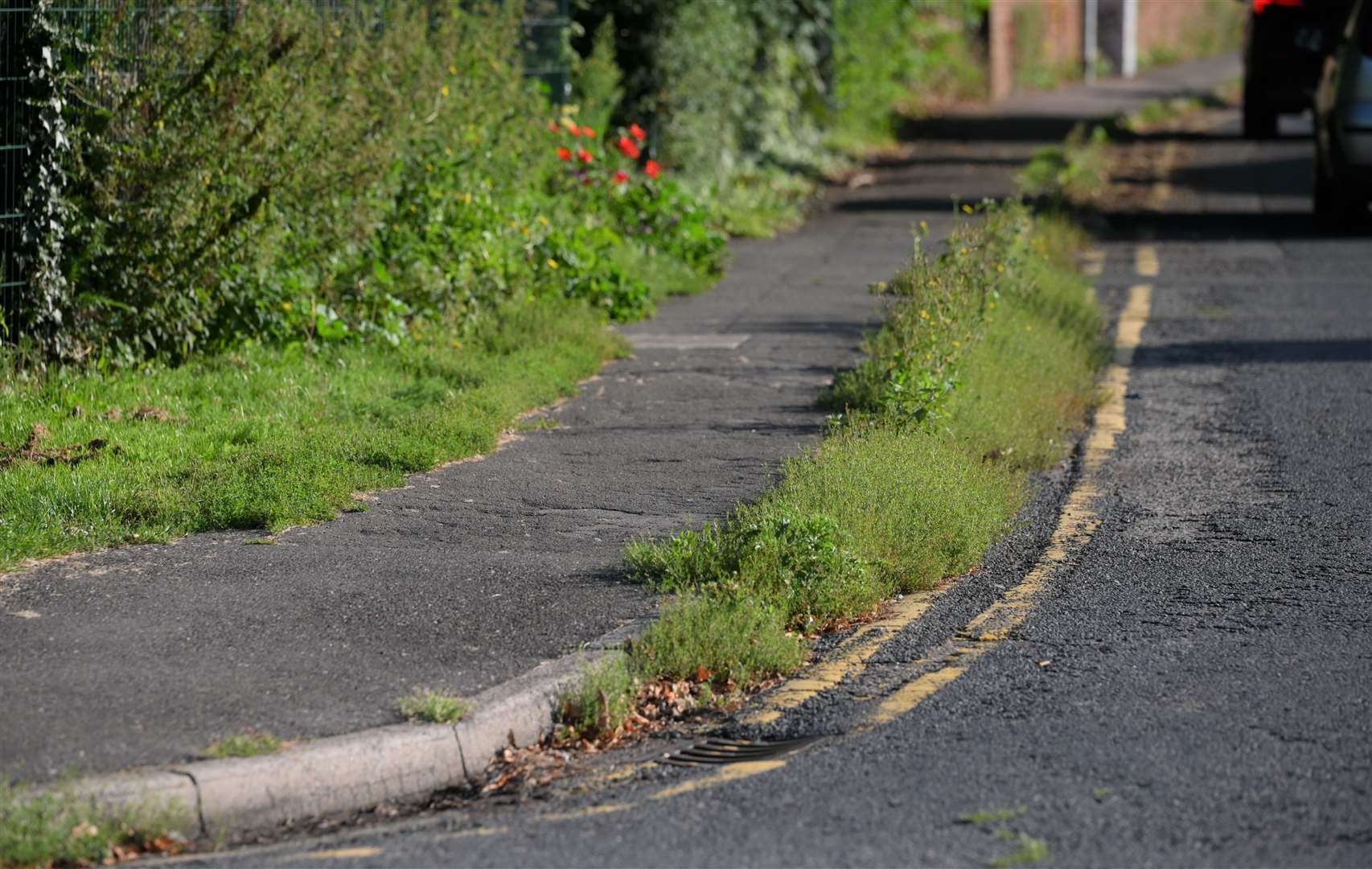 Coalwharf Road in Wisbech has weeds growing along the kerb while they also encroach onto the path.
